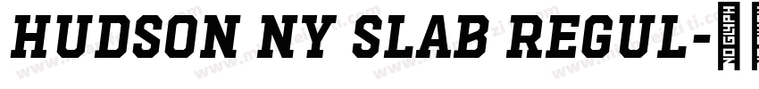 Hudson NY Slab Regul字体转换